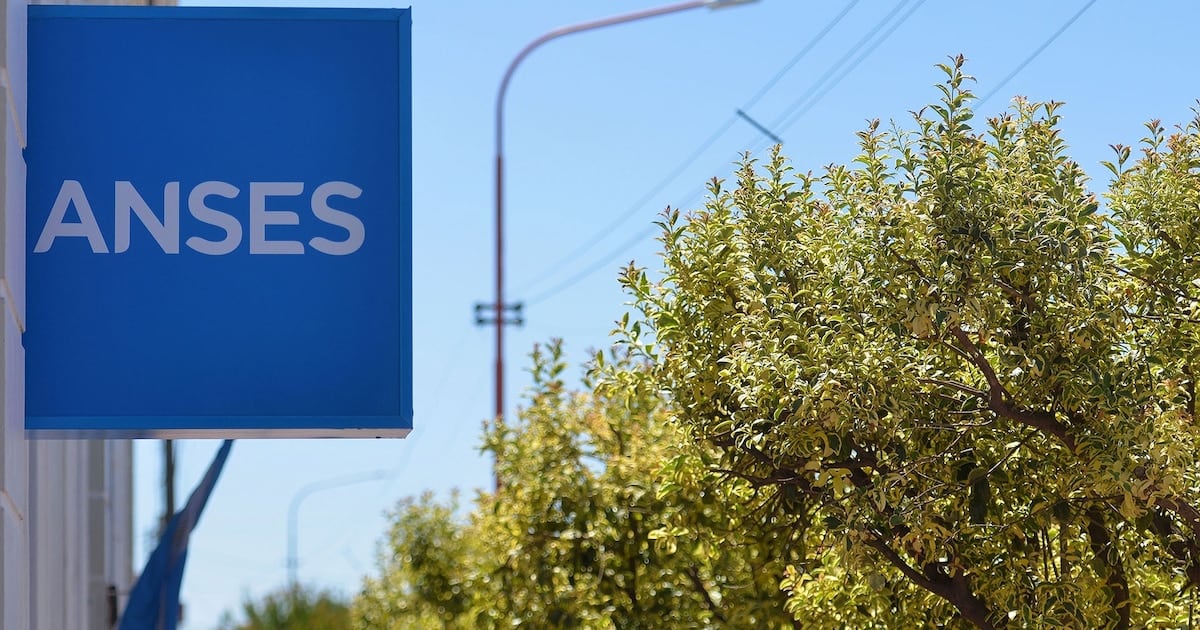 Jubilaciones y seguro de desempleo: ANSES completa el calendario de agosto con los DNI terminados en 8 y 9
