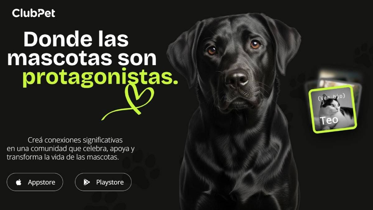 Neuquén tendrá una jornada de adopción y lanzamiento de una plataforma para mascotas