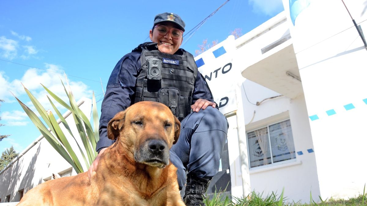 Puchero, el perro que nunca se fue de la Comisaría Primera y hoy patrulla Neuquén sobre dos ruedas