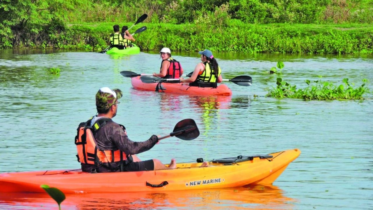 Remar en la Setúbal: una jornada de kayak entre flamencos, carpinchos y bondiola isleña