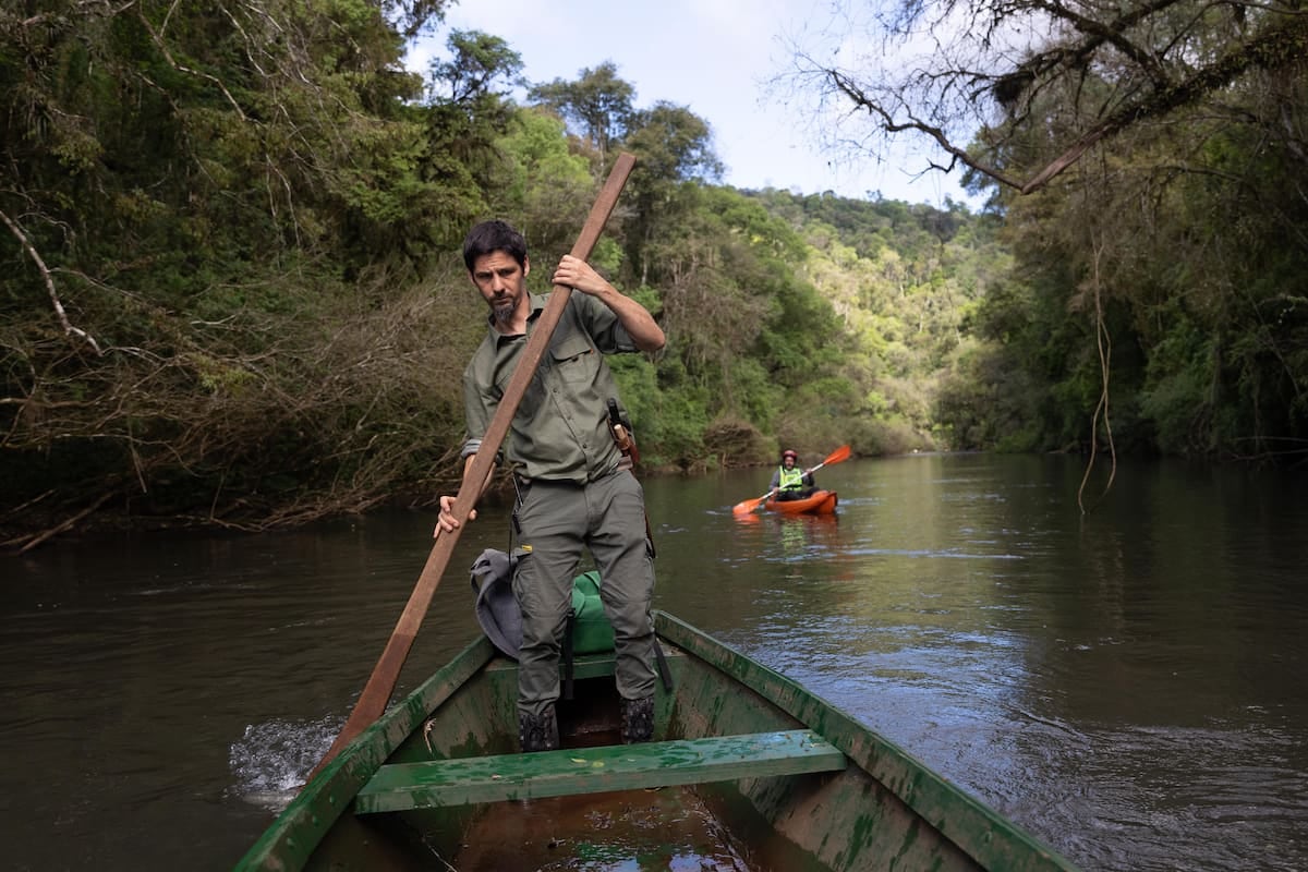 Margay, la reserva de Misiones donde el arroyo te recibe con un deck y un fogón bajo las estrellas