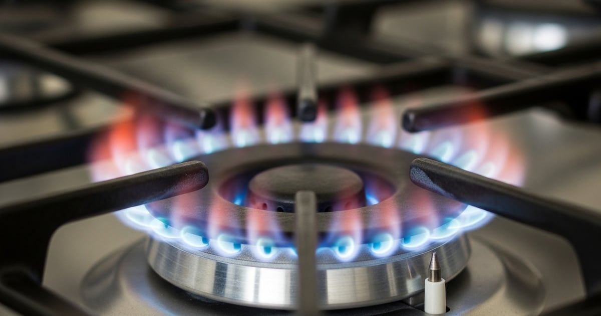 Tarifas en el AMBA: la brecha entre hogares con y sin subsidio se mantuvo por encima del 100% en agosto