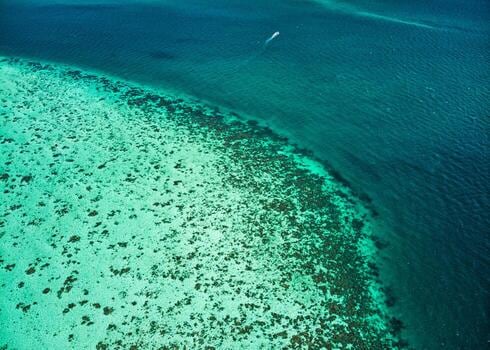 San Pedro, la llave del Caribe beliceño: arrecifes, tiburones y un agujero azul que quita el aliento