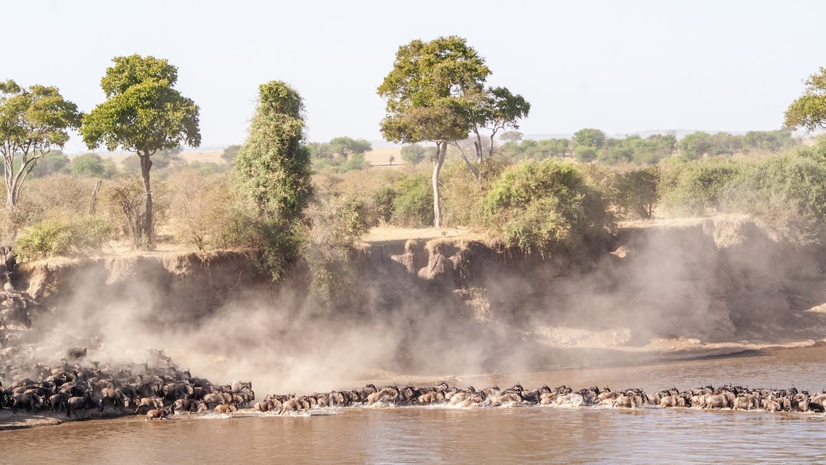 Tres parques, mil paisajes: cómo armar un safari por el norte de Tanzania sin perderse nada