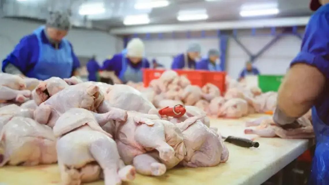 El pollo le ganó la pulseada a la carne vacuna en la mesa de los argentinos