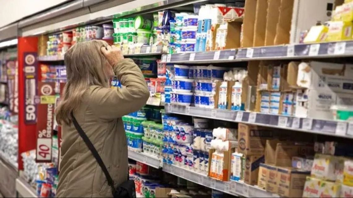 Ocho de cada diez hogares debieron financiarse para comprar alimentos en septiembre, según el IETSE