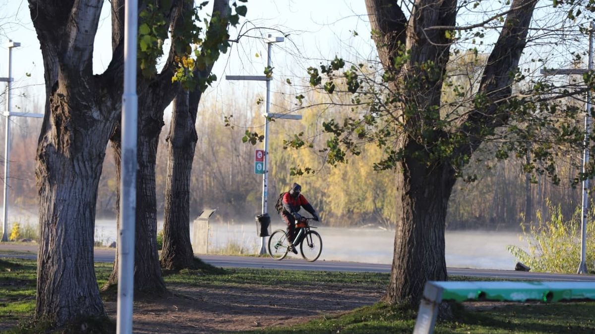 Neuquén se pone campera: sábado con 14 grados y ráfagas que cortan la cara