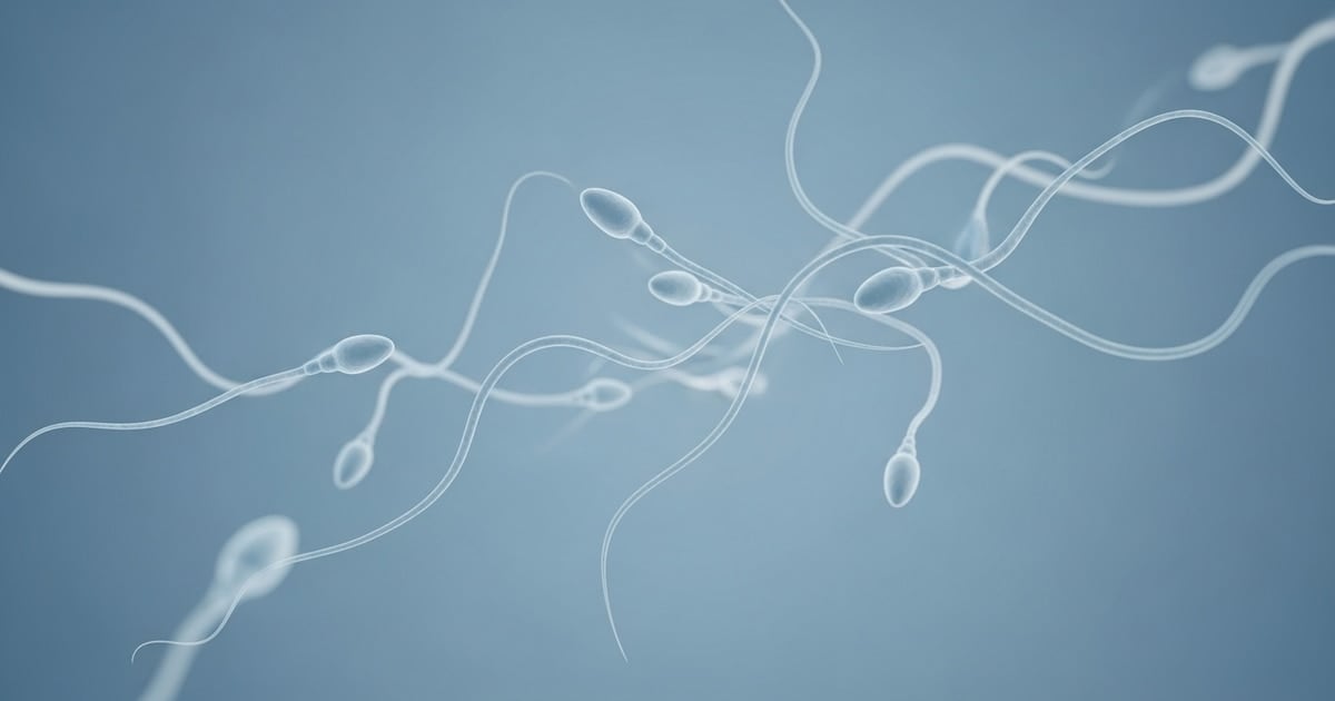 Médicos británicos reimplantan tejido testicular criopreservado y reavivan la ilusión de ser padre