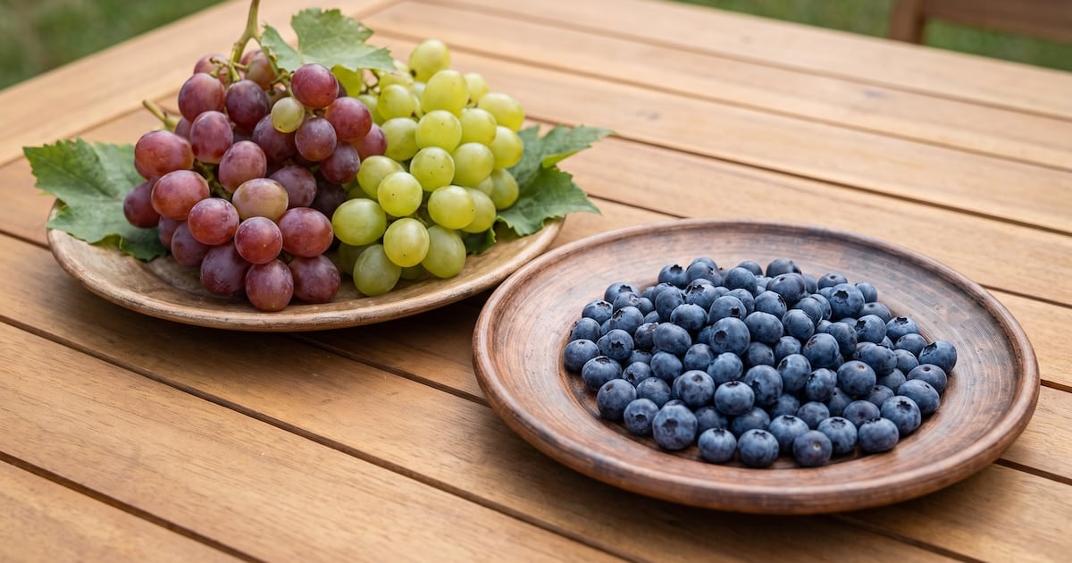 Arándanos y uvas en la mesa de todos los días: qué hacer para que el azúcar no se dispare