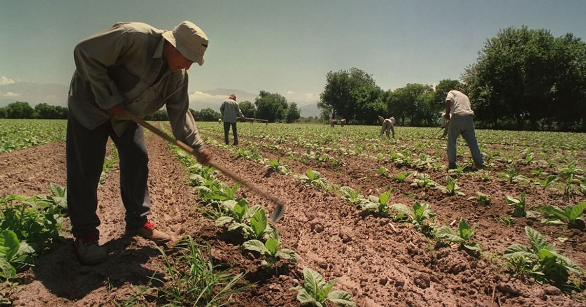 El campo sostiene un piso de asignaciones para sus temporarios: la prórroga regirá por doce meses
