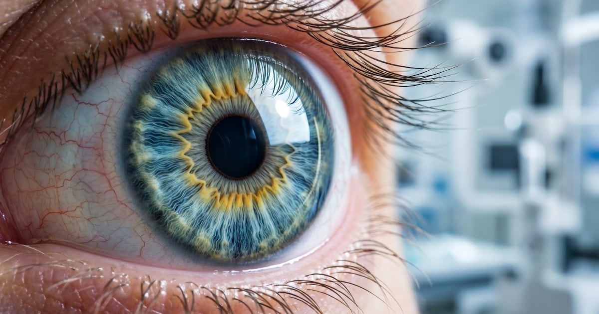 Una proteína argentina frena la vascularización corneal en_PRUEBAS_ANIMALES